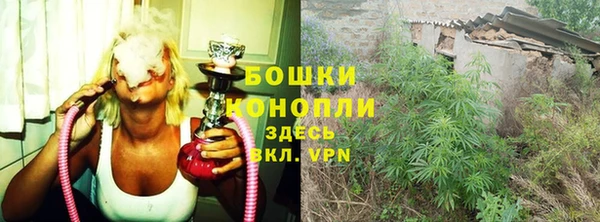 дурь Алексеевка