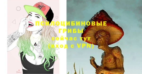 дурь Алексеевка