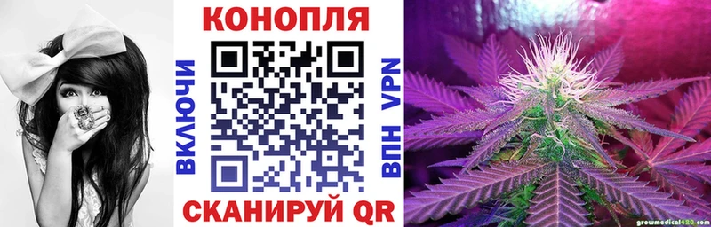 Каннабис гибрид  kraken tor  Жуков 
